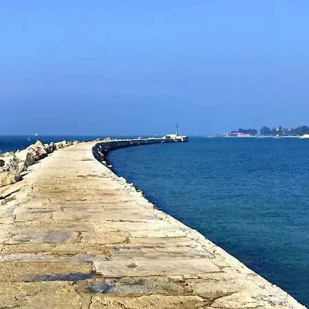 Apartament Albina 1 By Interhome *