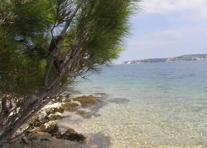 Albina 1 By Interhome